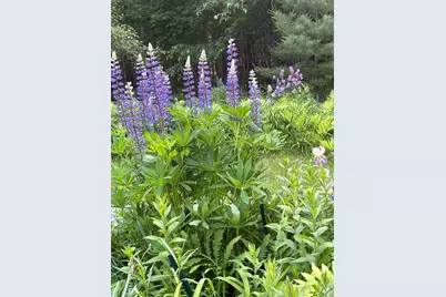 260 Coombs Road, Brunswick, ME 04011 - Photo 4