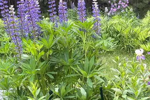 260 Coombs Rd, Brunswick, ME 04011 - Photo 4