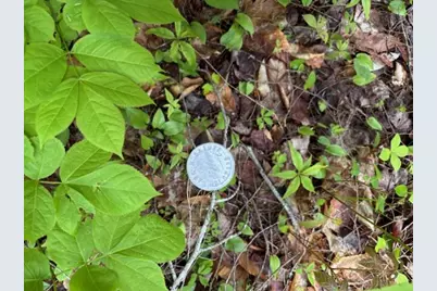 44A Trott Road Road, Woolwich, ME 04579 - Photo 6