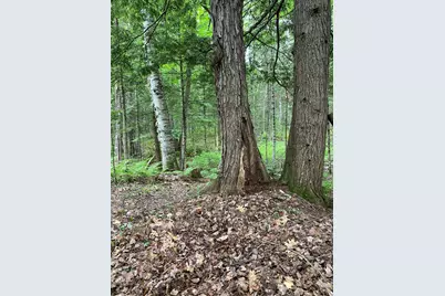 Tbd Spruce Drive, Anson, ME 04911 - Photo 4