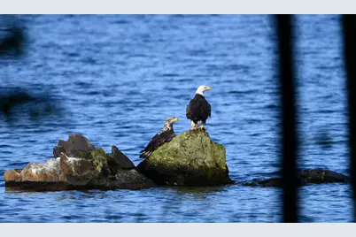 107 Shady Lane, Newport, ME 04953 - Photo 16