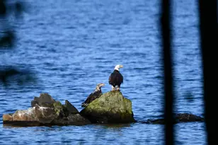 107 Shady Ln, Newport, ME 04953 - Photo 16