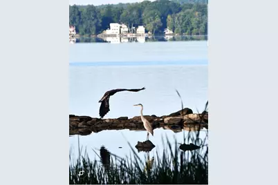 107 Shady Lane, Newport, ME 04953 - Photo 78