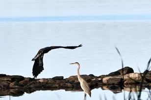 107 Shady Ln, Newport, ME 04953 - Photo 78