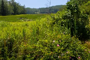 152 Kansas Rd, Milbridge, ME 04658 - Photo 32