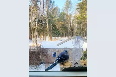 95 Silsby Road, Mariaville, ME 04605 - Photo 76