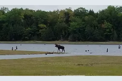 95 Silsby Road, Mariaville, ME 04605 - Photo 66