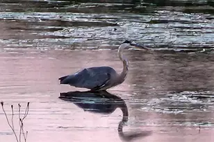 95 Silsby Rd, Mariaville, ME 04605 - Photo 64