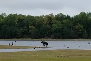 95 Silsby Rd, Mariaville, ME 04605 - Photo 66