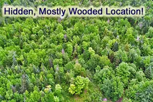 823 US Rt 1, Amity, ME 04471 - Photo 32