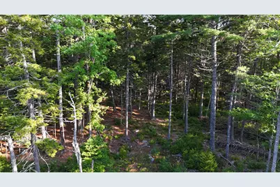 0 Red Spruce Way, Mount Desert, ME 04660 - Photo 14