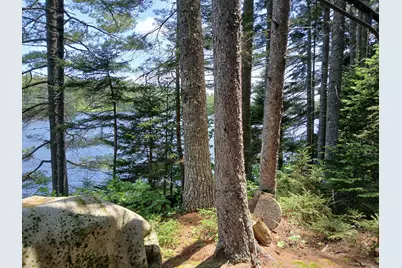 Lot # 16.2 Lane Pond Road, Carrying Place Town Twp, ME 04961 - Photo 34