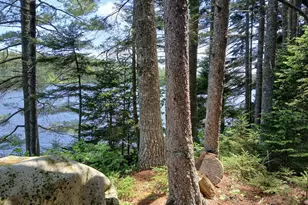 Lot # 16 2 Ln Pond Rd, Carrying Place Town Twp, ME 04961 - Photo 34