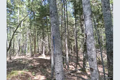 50 Bunchberry Lane, Bristol, ME 04554 - Photo 16