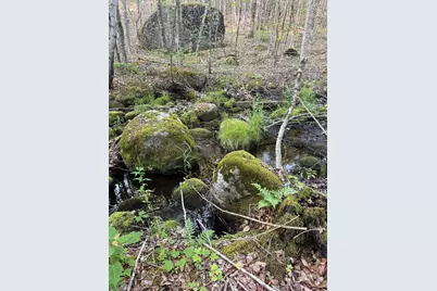 500 Cosgrove Drive, Otis, ME 04605 - Photo 18