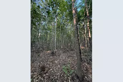 500 Cosgrove Drive, Otis, ME 04605 - Photo 12