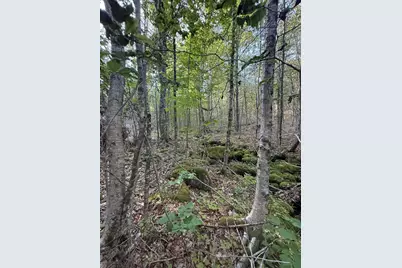 500 Cosgrove Drive, Otis, ME 04605 - Photo 16