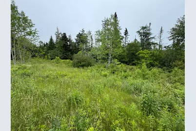 780 Cutler Road, Machiasport, ME 04655 - Photo 18