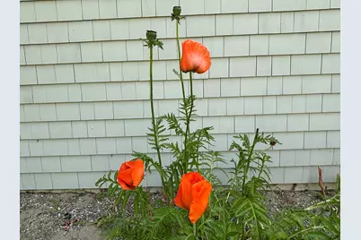 8 Sterling Street, Ellsworth, ME 04605 - Photo 68