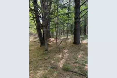 0 Tuttle Lane, Bridgton, ME 04009 - Photo 20