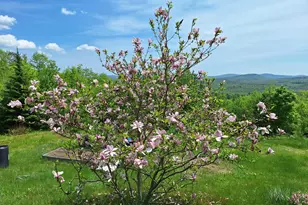 71 Mountain View Dr, Hartford, ME 04220 - Photo 58