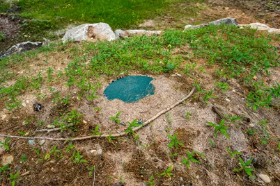 Lot 62 Bird Hill Road, Bethel, ME 04219 - Photo 16