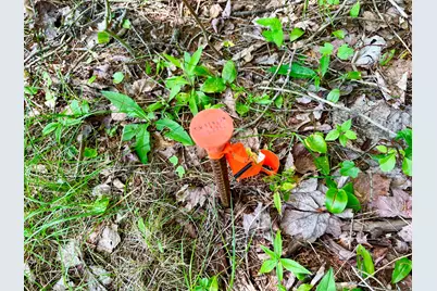 142 Seal Cove Road, Southwest Harbor, ME 04679 - Photo 2