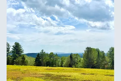 Map13Lot11 Martins Ridge Road, Franklin, ME 04634 - Photo 12