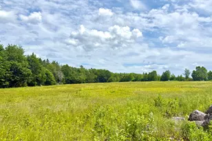 Map13Lot4 Martins Ridge Rd, Franklin, ME 04634 - Photo 1