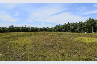Map13Lot9 Martins Ridge Road, Franklin, ME 04634 - Photo 6