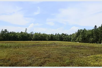 Map13Lot9 Martins Ridge Road, Franklin, ME 04634 - Photo 10