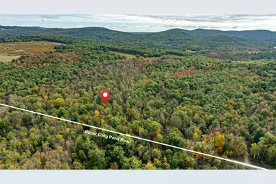 Map15Lot56 Upper Long Pond Road, Bucksport, ME 04416 - Photo 4