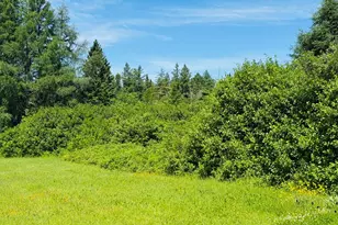 1710 Van Buren Rd, ConnorTownship, ME 04736 - Photo 10