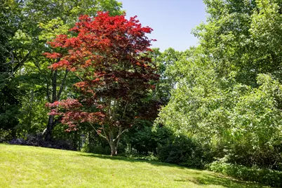 239 Ocean Point Road, Boothbay, ME 04544 - Photo 12