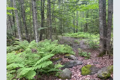 Lot# 17 Guilford Center Road, Guilford, ME 04443 - Photo 4