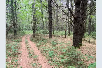 Lot# 17 Guilford Center Road, Guilford, ME 04443 - Photo 8