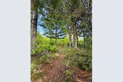 69 Jims Head Road, Lubec, ME 04652 - Photo 48