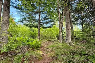 69 Jim's Head Rd, Lubec, ME 04652 - Photo 48