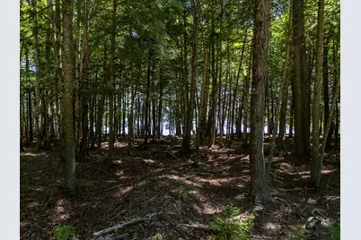 Lot 5 Black Cat Point, Princeton, ME 04668 - Photo 16