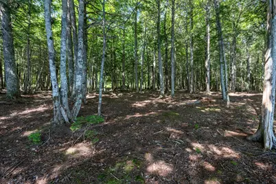Lot 5 Black Cat Point, Princeton, ME 04668 - Photo 18