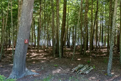 Lot 5 Black Cat Point, Princeton, ME 04668 - Photo 4