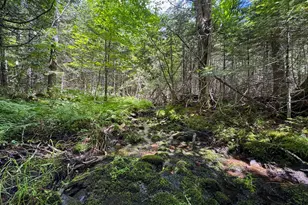 176 Front Ridge Rd, Houlton, ME 04730 - Photo 20