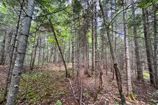 176 Front Ridge Rd, Houlton, ME 04730 - Photo 22