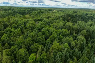 176 Front Ridge Rd, Houlton, ME 04730 - Photo 26