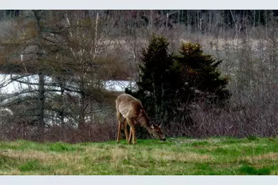 163 Middle Road, North Haven, ME 04853 - Photo 32