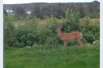 163 Middle Road, North Haven, ME 04853 - Photo 30