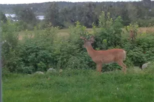 163 Middle Rd, North Haven, ME 04853 - Photo 30