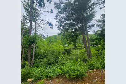 Lot 1 Kelly Lane, Millinocket, ME 04462 - Photo 20