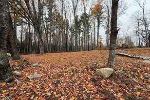 M15L16-1 Oldham Rd, Saint Albans, ME 04971 - Photo 6