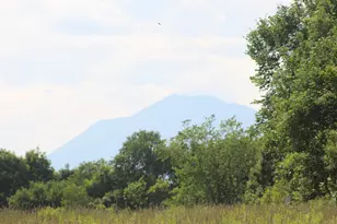 178 Siberia Rd, Stacyville, ME 04777 - Photo 46